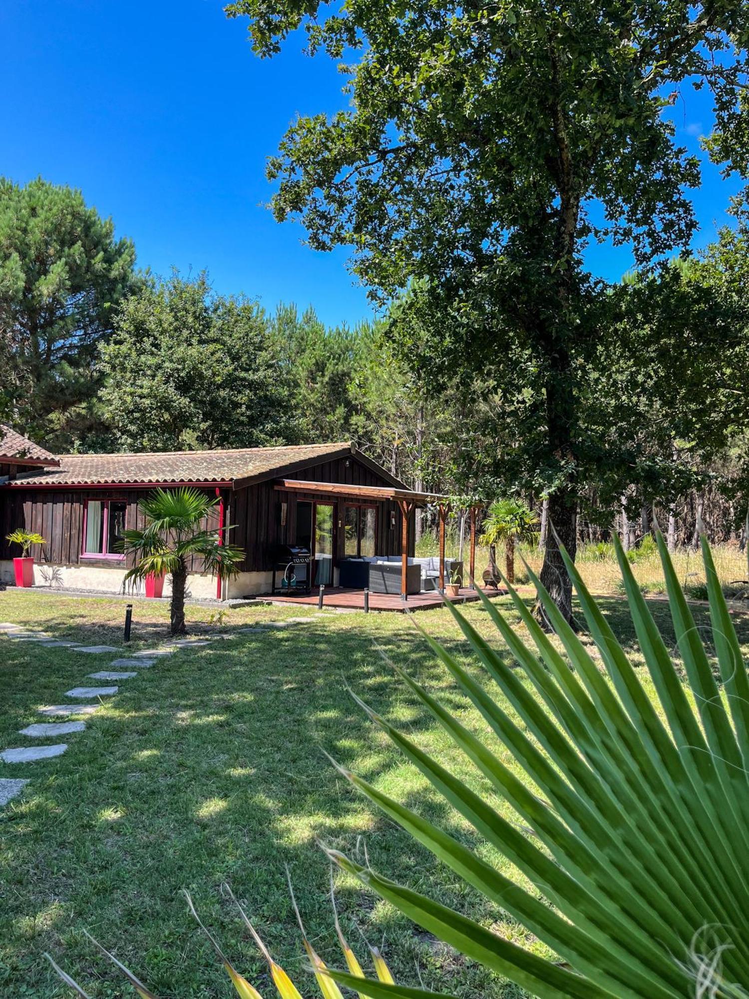 House De La Canopee, Swimming Pool, Lake, Forest, Large Garden And Wifi Hourtin Zewnętrze zdjęcie
